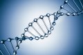 ما هو الحمض النووي DNA