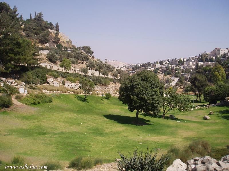 وادي الربابة الموجود جبل النبي داود 