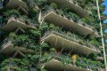 غابات على ناطحات سحاب في مدينة تشنغدو الصينية