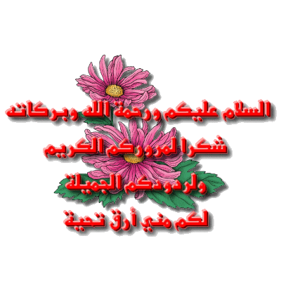 القعدة