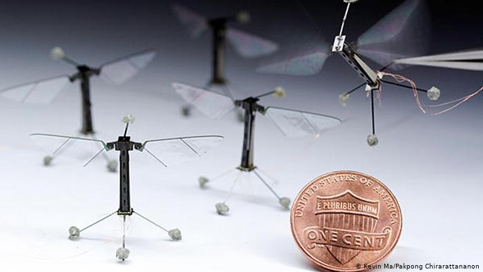  أصغر روبوت على شكل حشرة يتمكن أخيرا من الطيران!