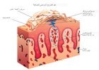 المقالات الطبية