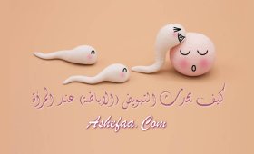 كيف يحدث التبويض (الاباضة) عند المرأة 