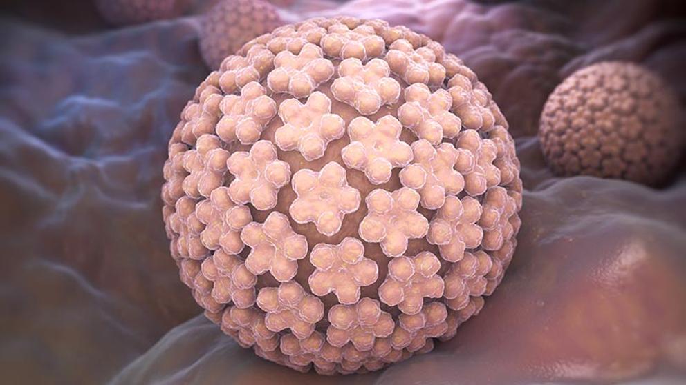 فيروس الورم الحليمي البشري اسبابه وعلاجه