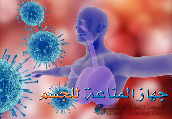 معلومات عن جهاز المناعة في الجسم