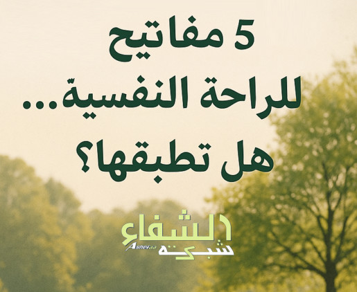 علوم القرآن والحديث والفقه